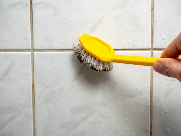 Best Local Mold Removal Service  in Storm Lake, IA