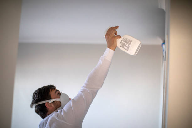 Best Crawl Space Mold Removal  in Storm Lake, IA