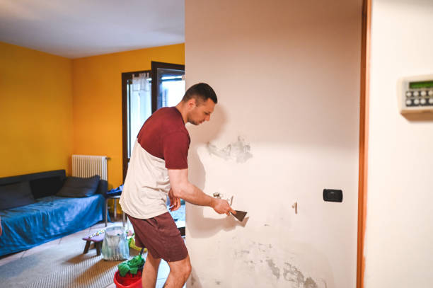 Best Commercial Mold Removal  in Storm Lake, IA